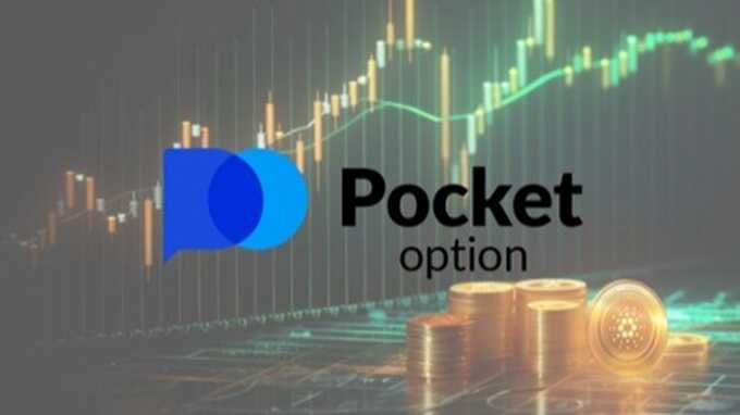 Pocket Option Down Understanding Outages and Fixes