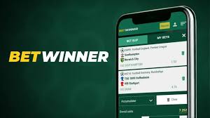 Understanding the BetWinner Customer Support System